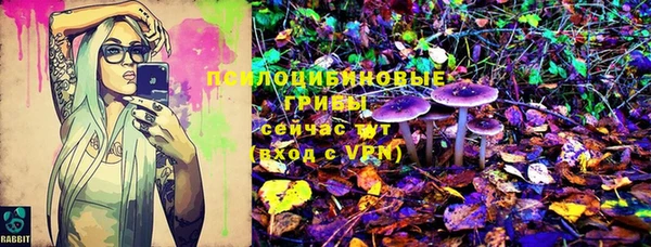 не бодяженный Алзамай