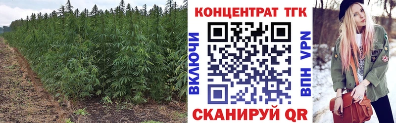 площадка какой сайт  купить закладку  Андреаполь  ТГК THC oil 