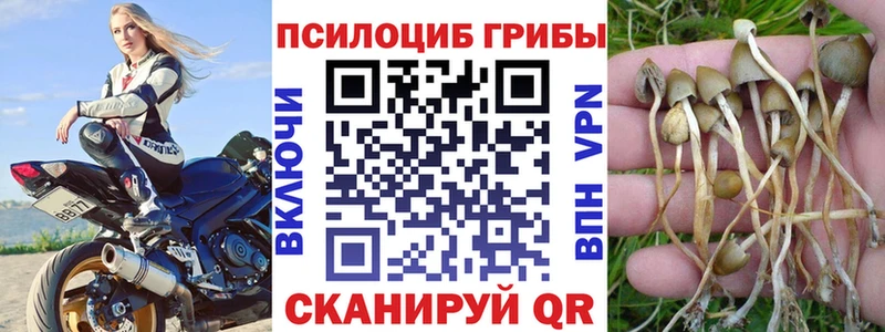 Псилоцибиновые грибы MAGIC MUSHROOMS даркнет состав Андреаполь
